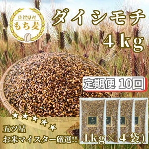 yӂ邳Ɣ[Łzy10ցz_CV`4kg  L ͂iCIC22j