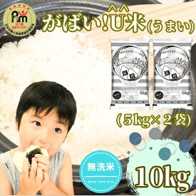 【ふるさと納税】【がばい！U米(うまい)】≪無洗米≫お徳用10kg！ （5kg×2袋）（CID14）