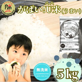 【ふるさと納税】【がばい！U米(うまい)】≪無洗米≫お徳用5kg！ （5kg×1袋）　家庭用　生活応援【訳あり】 おすすめ　人気ブランド　特A銘柄も含む　5kg以上（CID71）