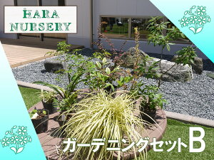 yӂ邳Ɣ[ŁzK[fjOZbgB@ c A ƒ؉ Ԓd v^[ K[fjOiBS178j