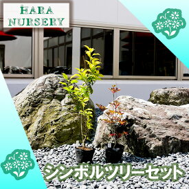 【ふるさと納税】シンボルツリーセット 花 苗 植物 家庭菜園 花壇 プランター ガーデニング（BS180）