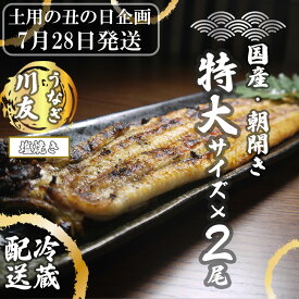 【ふるさと納税】【土用の丑の日企画：7月28日冷蔵発送】朝開き国産うなぎ2尾（1尾あたり約200g） 塩焼き 国産鰻 ウナギ(AK007)