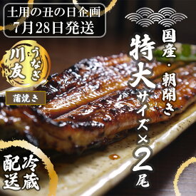 【ふるさと納税】【土用の丑の日企画：7月28日冷蔵発送】朝開き国産うなぎ2尾（1尾あたり約200g） 蒲焼き（タレ付）国産鰻 ウナギ(AK008）