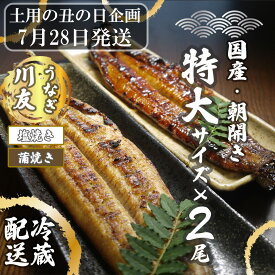 【ふるさと納税】【土用の丑の日企画：7月28日冷蔵発送】朝開き国産うなぎ2尾（1尾あたり約200g） 蒲焼き・ 塩焼き 国産鰻 ウナギ（AK009）