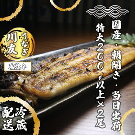 【ふるさと納税】朝開き国産うなぎ2尾（1尾あたり約200g） 塩焼き 国産鰻 ウナギ(AK002)