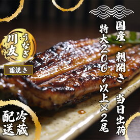 【ふるさと納税】朝開き国産うなぎ2尾（1尾あたり約200g） 蒲焼き（タレ付）国産鰻 ウナギ(AK003）