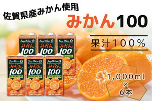 yӂ邳Ɣ[Łz ݂100@1LX6{iDV226j