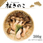 訳あり お得な 高級 松きのこ サイズ不揃い 家庭用 300g（EW013）