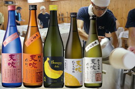 【ふるさと納税】みやき町の地酒「天吹」大吟醸3品＆純米吟醸＆純米（計5本）（CN036）