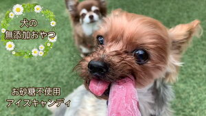 yӂ邳Ɣ[Łzy5`9z̖YsgpYACXLfBiFB013j