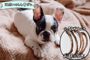 yӂ邳Ɣ[Łzy5{z^VR̂̍K(ׁjiFB130j