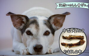 yӂ邳Ɣ[Łzy2{z^VR̂̍KiFB131j