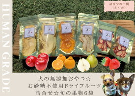【ふるさと納税】犬の無添加おやつ☆お砂糖不使用ドライフルーツ☆旬の果物6袋（FB134）