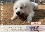 大型犬向け☆天然いのししのスモーク骨ガム3本（FB142）