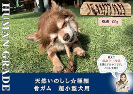 【ふるさと納税】超小型犬向け☆天然いのししの骨ガム100g（FB169）