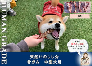 yӂ邳Ɣ[Łz^VR̂̃X[NK4{i300`400gjiFB175j