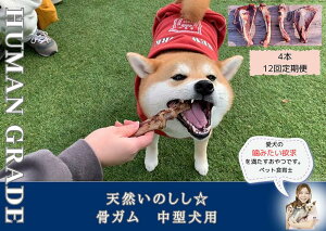 yӂ邳Ɣ[Łz^VR̂K4{i300`400gjyցzS12iFB177j