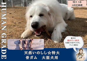 yӂ邳Ɣ[Łz^VR̂K3{yցzS6iFB179j