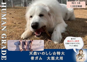 yӂ邳Ɣ[Łz^VR̂K3{yցzS12iFB180j