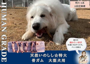 yӂ邳Ɣ[Łz^VR̂K6{yցzS6iFB182j