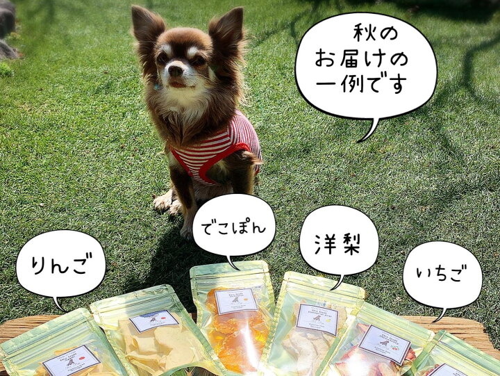 楽天市場 ふるさと納税 犬の無添加おやつ お砂糖不使用ドライフルーツ 旬の果物６袋 Fb009 佐賀県みやき町