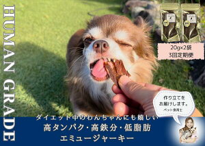 yӂ邳Ɣ[Łz̖Y_CGbĝ񂿂ɂ^pNᎉb̃G~[W[L[2y3ziFB108j
