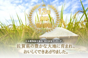 【ふるさと納税】【予約】令和3年度産さがびより10kg(5kg×2セット)1等米【2021年10月末以降発送】(FE004)