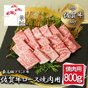 yӂ邳Ɣ[Łz_ꋍ[Xēp800giBL055j