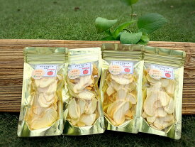 楽天市場 犬 ドライりんごの通販