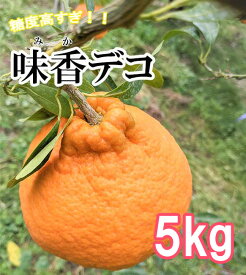 【ふるさと納税】味香デコ 5kg 糖度高すぎッ！14度以上 不知火 みかん　柑橘 フレッシュ 限定　くだもの フルーツ　ジューシー（DG019）