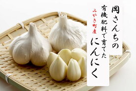 【ふるさと納税】佐賀県みやき町岡さんちのニンニク（にんにく）15個【ご家庭ストックにぴったり】国産にんにく(BE013)