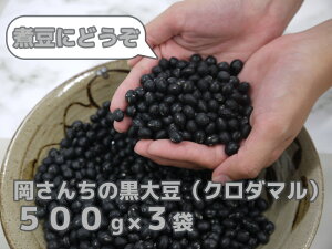 yӂ邳Ɣ[Łzꌧ݂₫_Ɖ񂿂̍哤N_}500g×3(BE027)