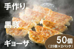 yӂ邳Ɣ[Łz][̎荕Lq50iY؎gpjiDA033j