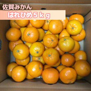 yӂ邳Ɣ[Łz͂Ђ5kgiDV140j