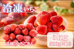 yӂ邳Ɣ[ŁzⓀij5kg(500gX10)iDV231j
