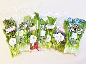 【ふるさと納税】オーガニックサラダミニセット【植物性で育てた完全無農薬の葉野菜ブランド有機JAS】（CQ021）