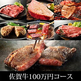 【ふるさと納税】訳あり　定期便　100万コース（佐賀牛サーロインステーキ、味付け厚切り牛タン、味付けホルモン、佐賀牛ハンバーグ等々、贅沢12回定期便）（BN047）