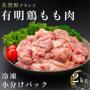 yӂ邳Ɣ[ŁzꌧYL{2Ki500gx4pjiBN096j