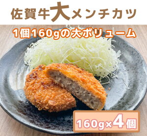 yӂ邳Ɣ[Łzꋍ僁`Jc160g×4iBO020j