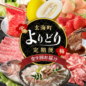 【ふるさと納税】【定期便9回】玄海町よりどり定期便（梅）／ バラエティ 頒布会 佐賀牛 肉 ロース 薄切り スライス いちご 苺 切り落とし キンショウメロン カルビ 焼肉 鯛 真鯛 鯛しゃぶ モモ すき焼き フルーツ 果物 定期便 佐賀県 玄海町 ＼レビューキャンペーン実施中／