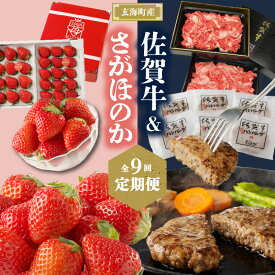 【ふるさと納税】玄海町産さがほのか＆佐賀牛定期便【9回】 ＼レビューキャンペーン実施中／