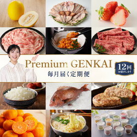 【ふるさと納税】【定期便 12回】〜Premium GENKAI〜定期便 ／ 定期便 佐賀牛 海鮮 魚介 干物 キンショウメロン アイスクリーム ハウスみかん 鯛 新鮮野菜 佐賀牛ハンバーグ 毎月配送 贅沢セット 玄海町 地域 特産品 直送 旬の味覚 送料無料【★ 観光大使 おすすめ ★】