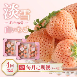 yӂ邳Ɣ[Łz\tR_y1`4 v4zzCY WijDX^  C`S W 䂫   C`S  ʕ