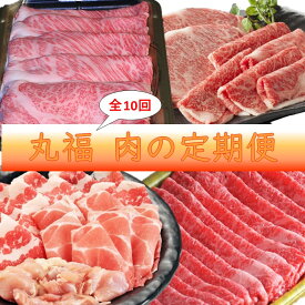 【ふるさと納税】新丸福　肉の定期便　10回コース