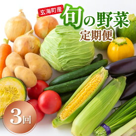 【ふるさと納税】玄海町産 旬の野菜定期便（3ヶ月） ／ 産地直送 旬 農家 野菜 セット 佐賀県 玄海町 ＼レビューキャンペーン実施中／