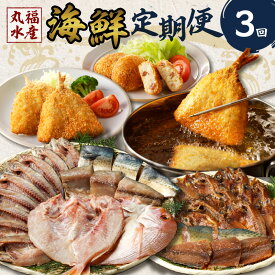 【ふるさと納税】丸福水産・海鮮定期便（3回）／ 干物 ひもの フライ 個包装 小分け 魚 詰合せ 詰め合わせ 乾物 塩干し みりん干し 海鮮 魚介 食べ比べ 国産 冷凍 佐賀県 玄海町 送料無料 ＼レビューキャンペーン実施中／