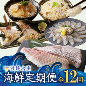 【ふるさと納税】渡邉水産・海鮮定期便（12回）／ 穂州鯛 ブランド鯛 産地直送 真鯛 マダイ 鯛 タイ サク 柵 鯛しゃぶ カマ 松皮造り 鯛茶漬け お茶漬け 切り身 鯛めし 加工品 魚 魚介 海鮮 養殖 国産 定期便 佐賀県 玄海町 冷凍 送料無料 ＼レビューキャンペーン実施中／