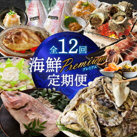 【ふるさと納税】海鮮Premium定期便（12回）