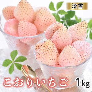 yӂ邳Ɣ[Łzyʌz肢 1kg iFW ^ Ⓚ Ⓚt[c t[Y  W   C`S ʕ  t[c fU[g { Y ꌧ C