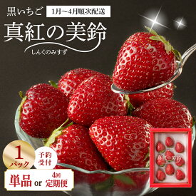 【ふるさと納税】【選べる】★予約受付★杉山いちご農園 玄海町産いちご “真紅の美鈴（しんくのみすず）”／送料無料 黒いちご 黒イチゴ 真紅の美鈴 苺 いちご イチゴ 希少 品種 果物 くだもの フルーツ デザート 旬 定期便
